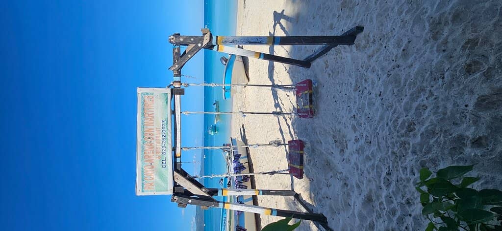 The Living Sandbar
