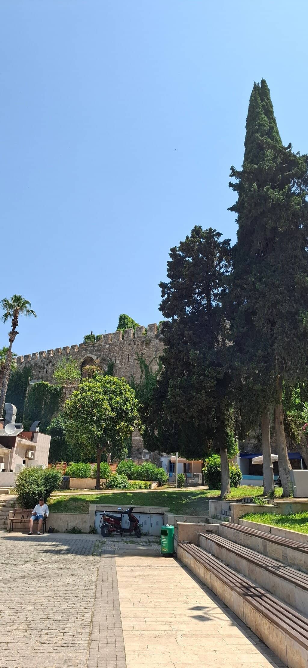 Vertical photo