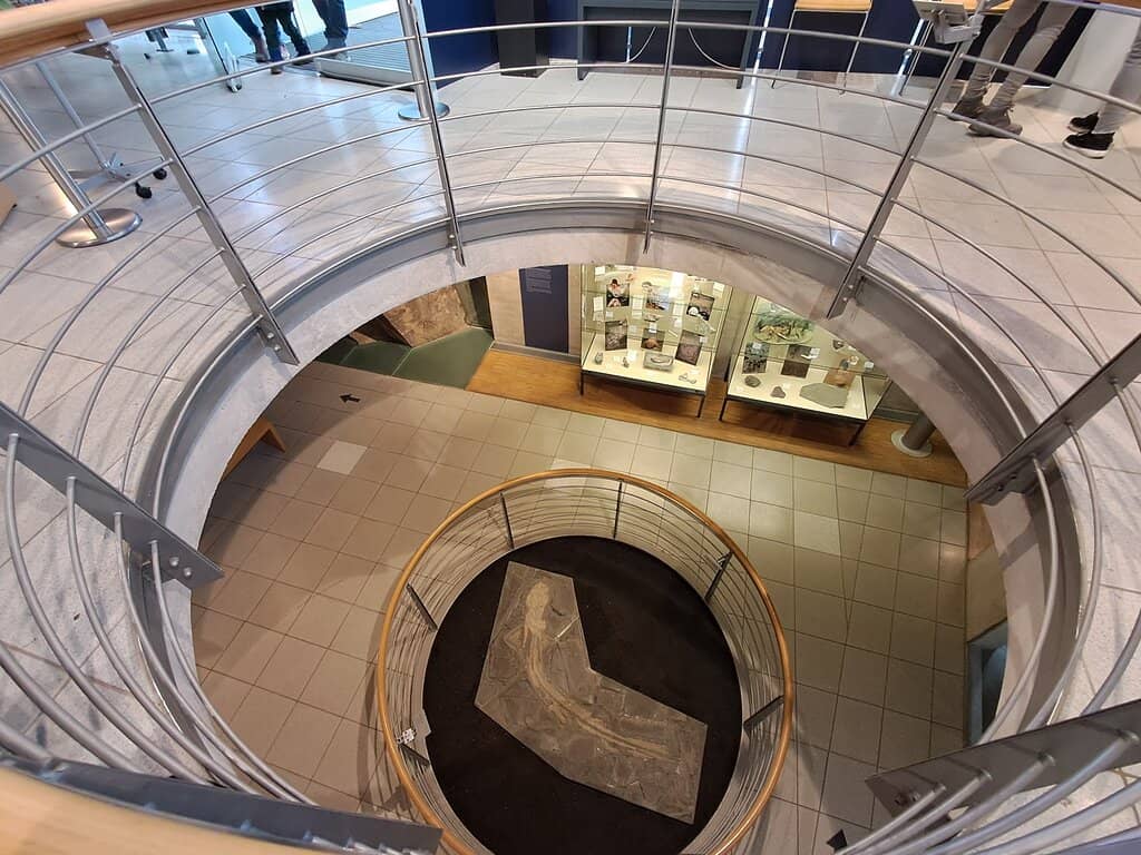 Panoramic Tower Views