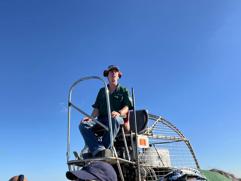 Alligator Encounters