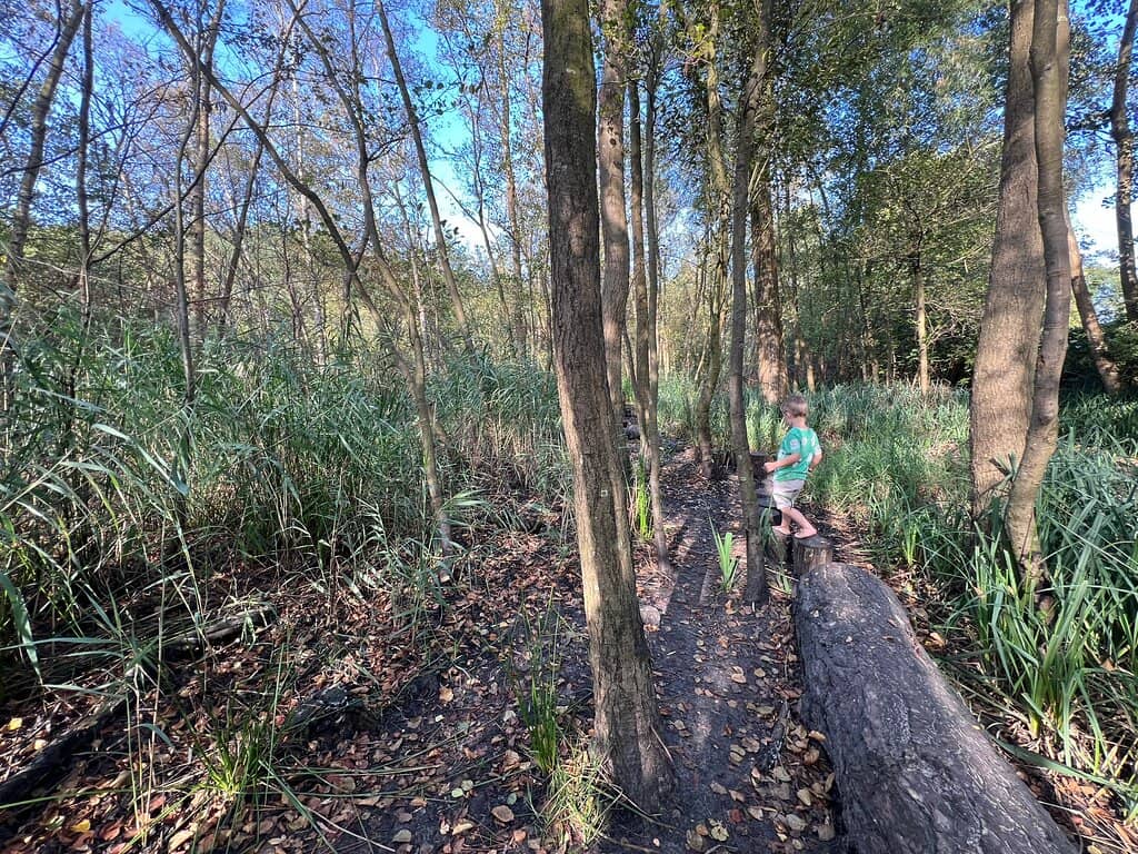 Wooded Trails