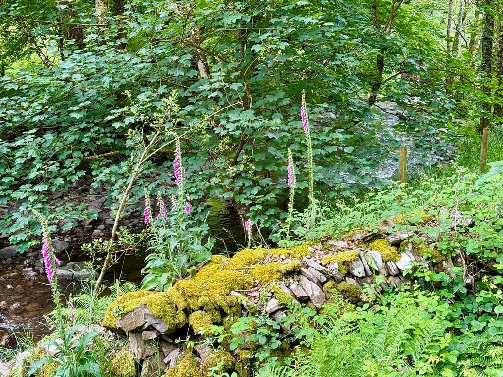 Vertical photo