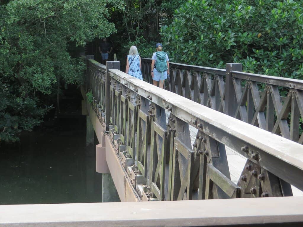 Mangrove Boardwalks