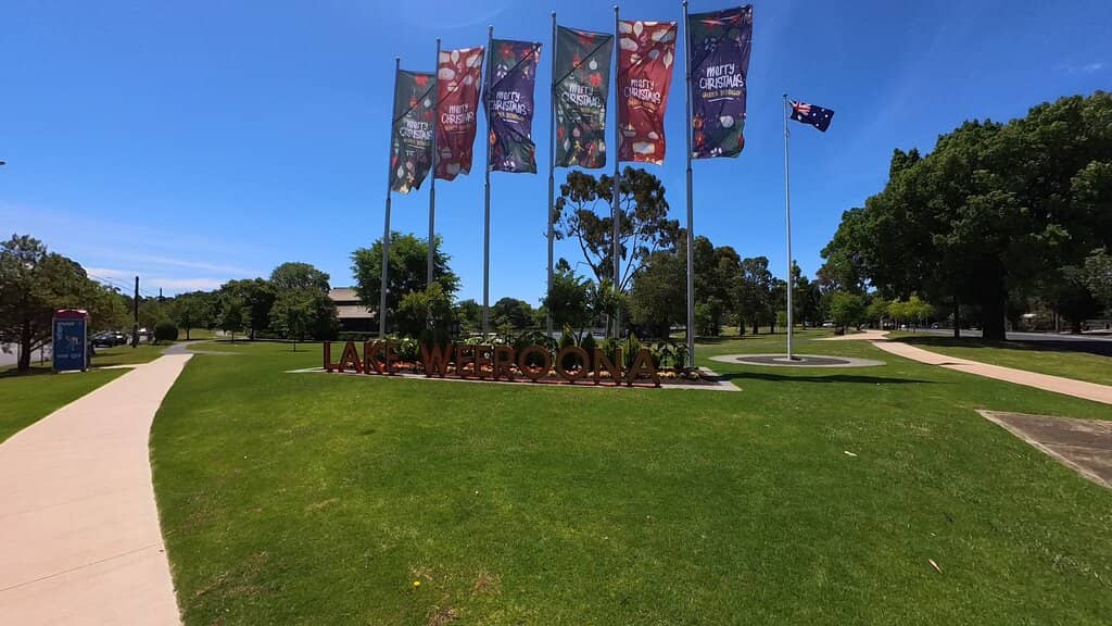 Artistic Duck Sculptures