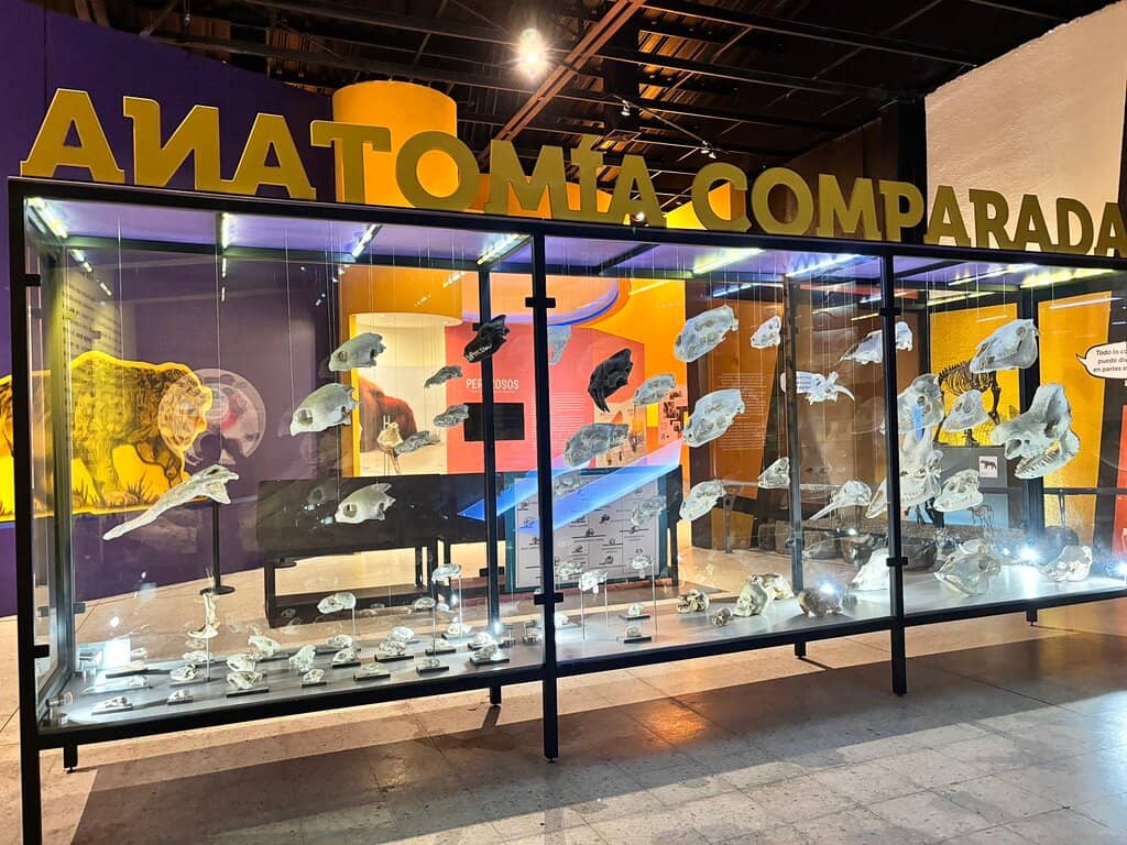 Local Paleontological Discoveries