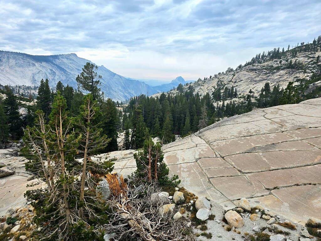 Vertical photo