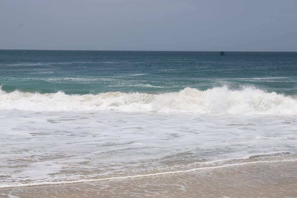 Surfing Waves