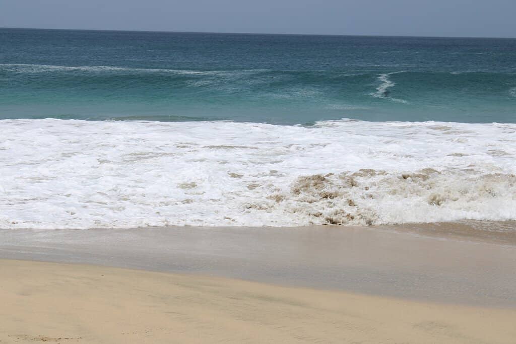 Turtle Encounters