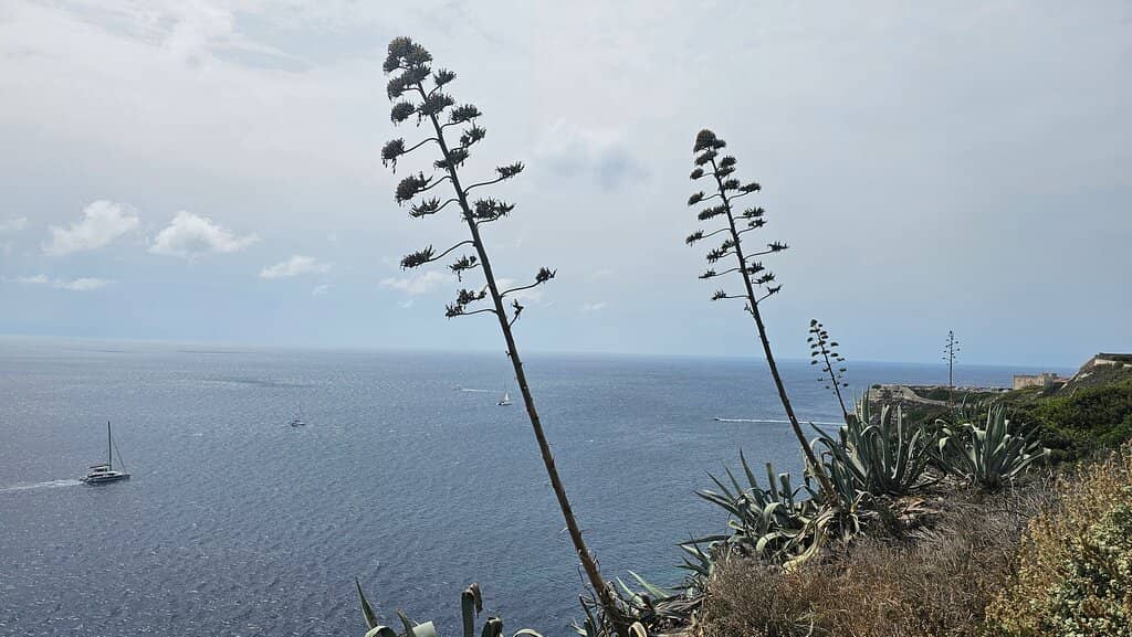 Historical Paintings