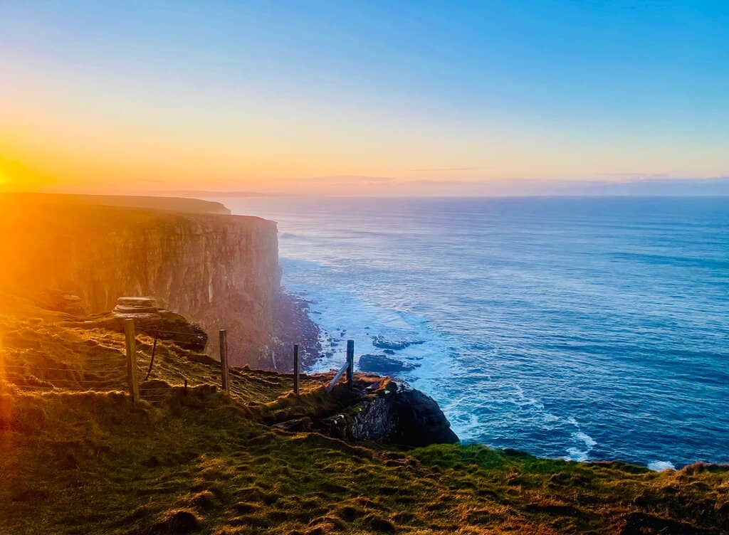 Puffin Paradise