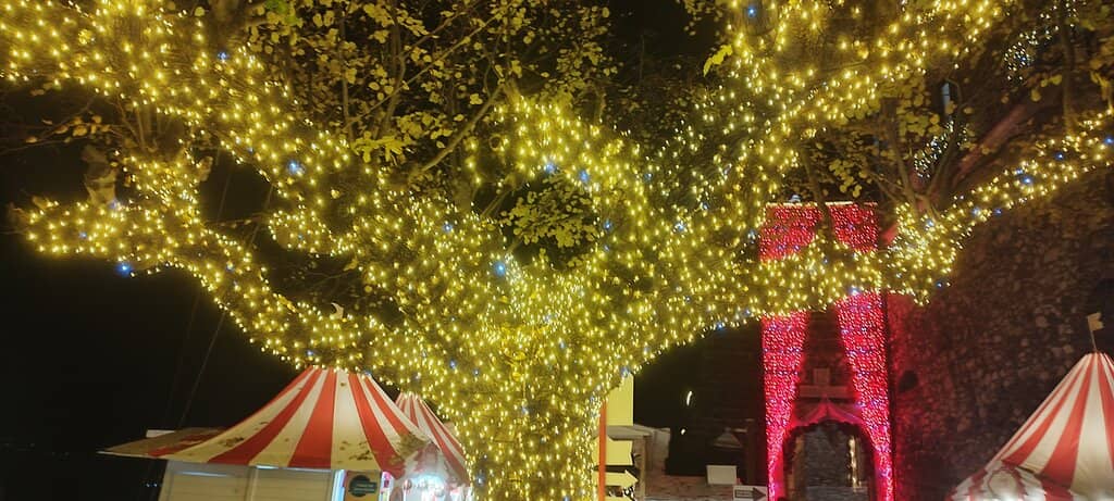 Medieval Castle Architecture