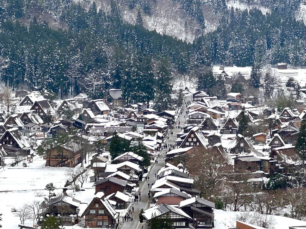 Gassho-style Houses