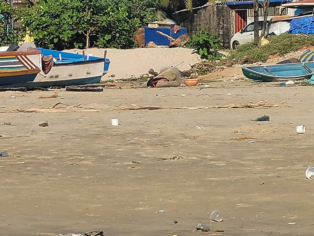 Floating Bridge Experience