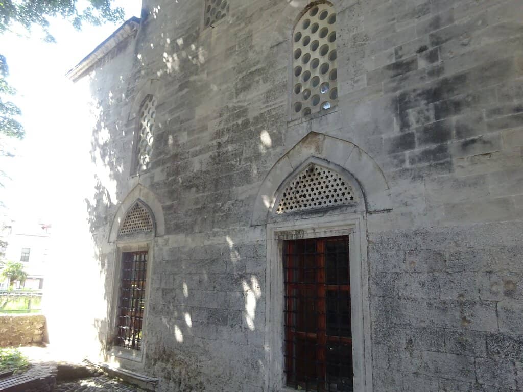 Resilience Through History