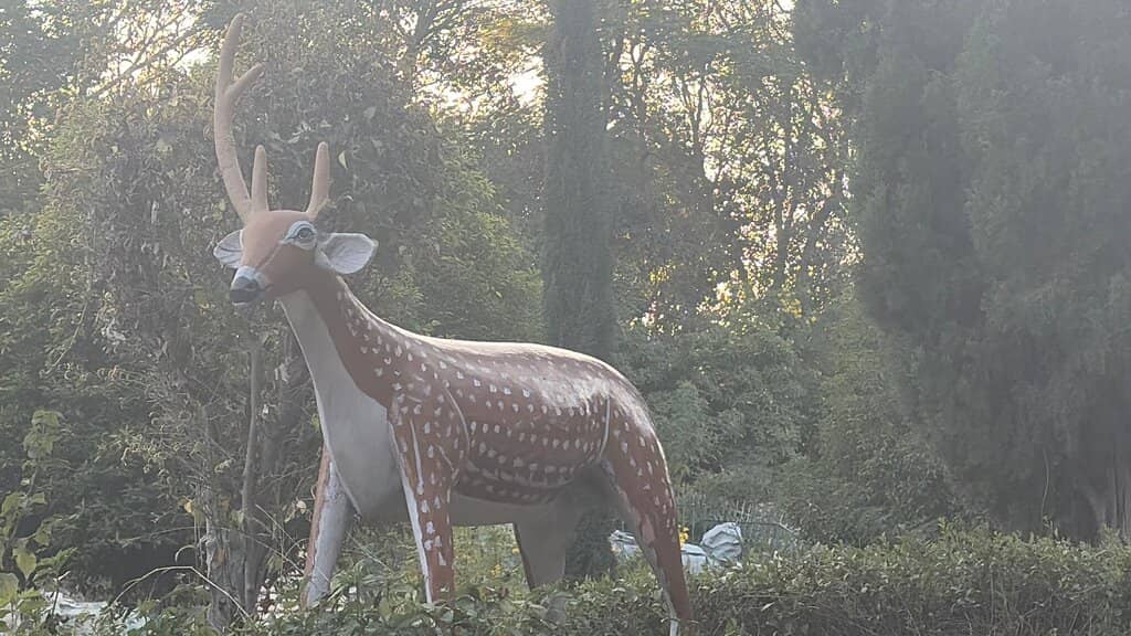 Glow Garden Wonderland (Nagpur)