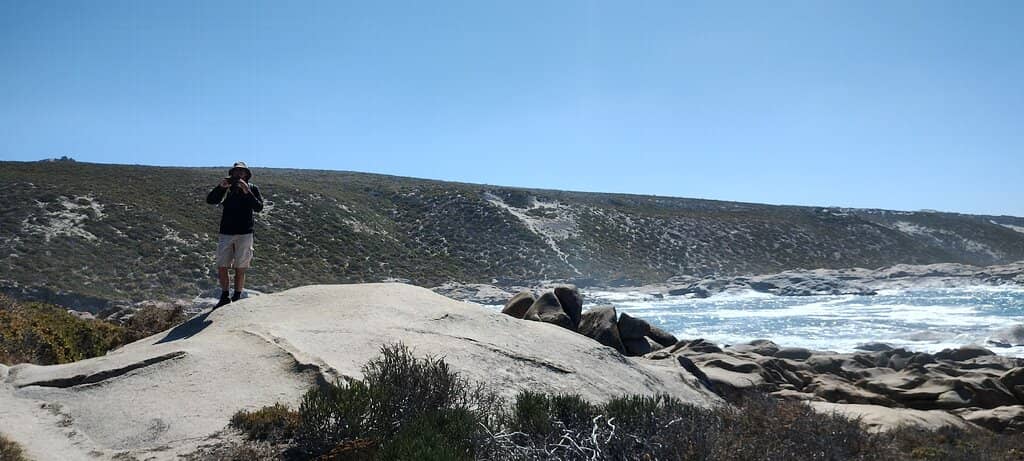 Stunning Coastal Vistas
