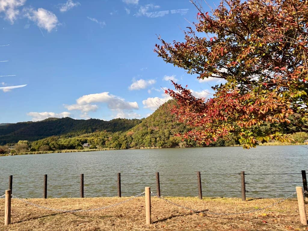 Omi-Takashima Station Area