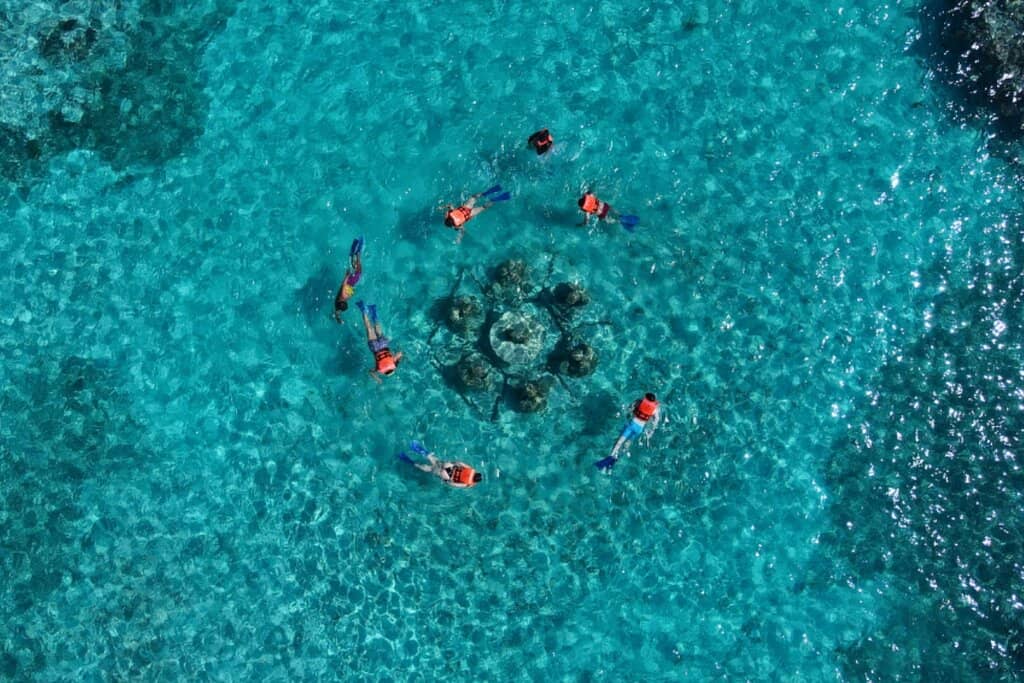 Coral Reef Snorkeling