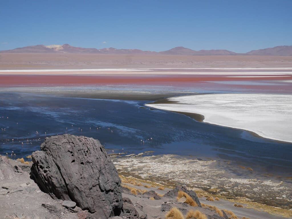 Borax Islands