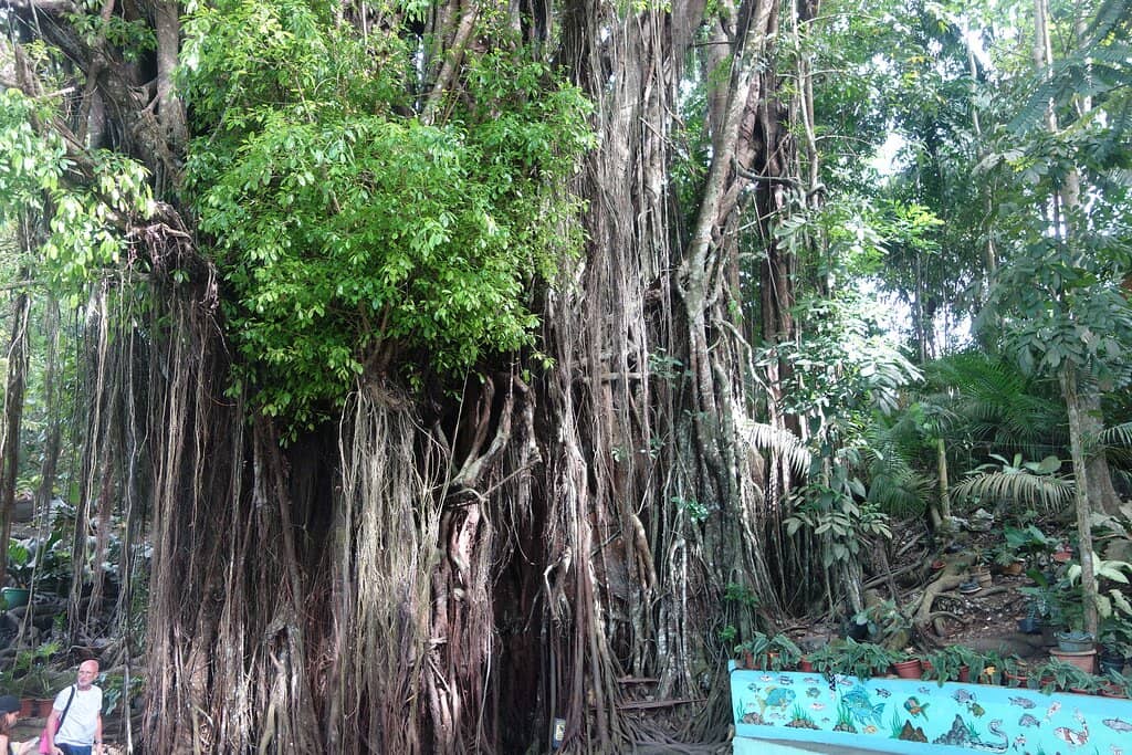 Local Folklore and Mystique