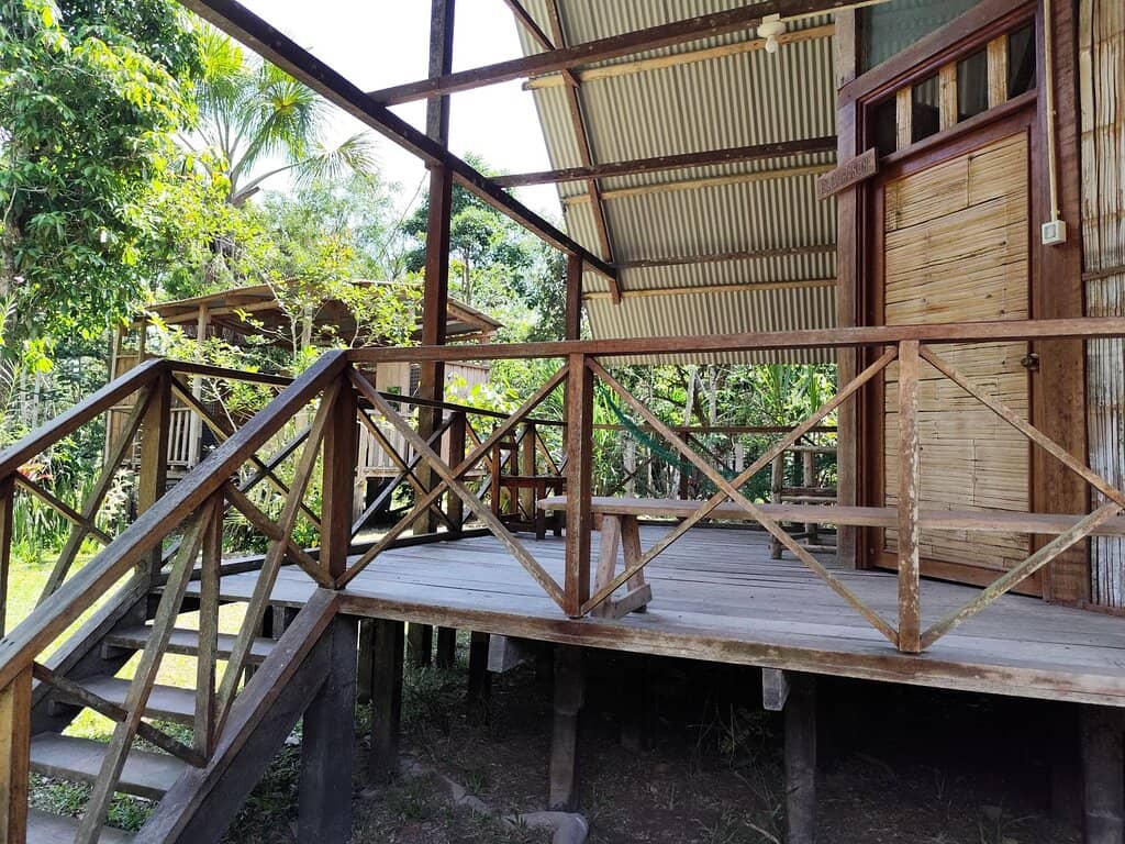 Nocturnal Jungle Adventure