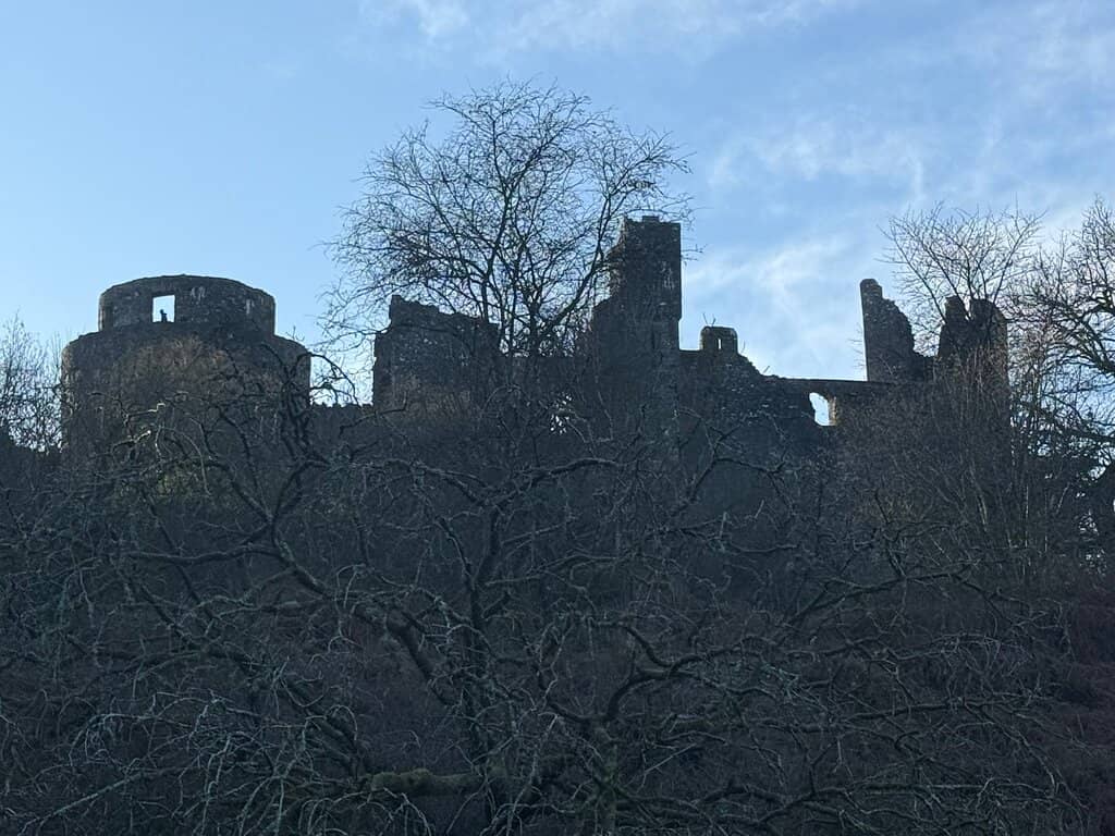 Deer Park Exploration