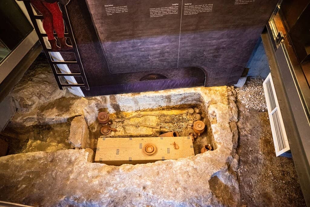 Passionate Guided Tours