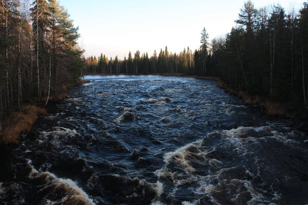 Boardwalks and River Views