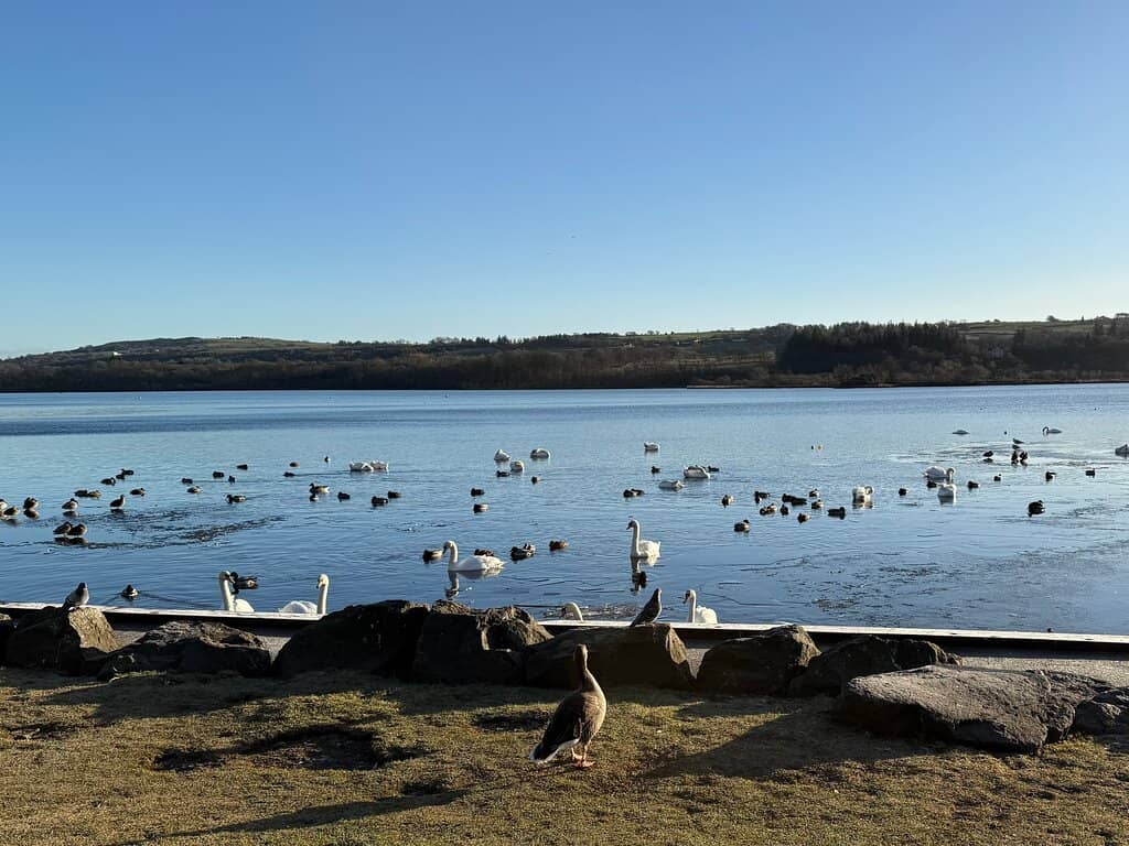 Water Sports Activities