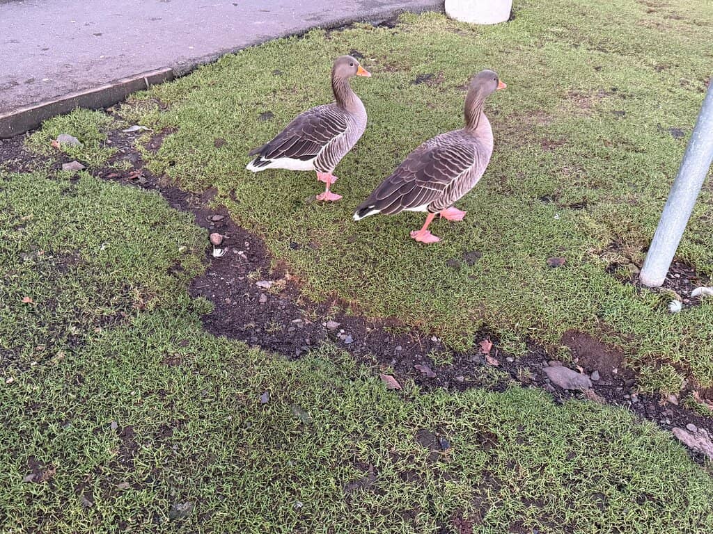 Walking & Hiking Trails