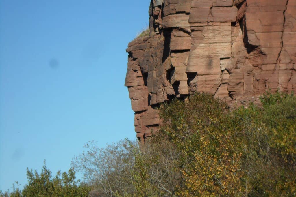 Vertical photo