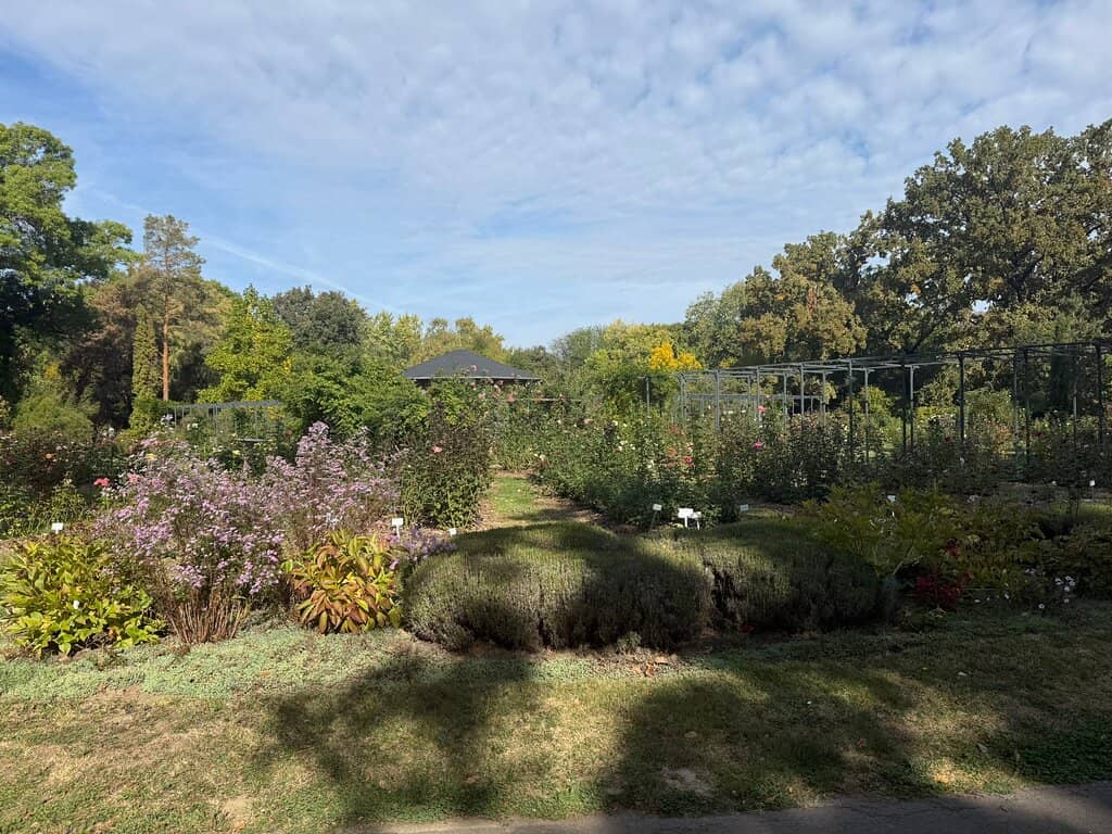 Succulent and Fern Rooms