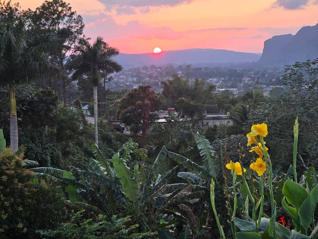 Signature 'Anti-Stress' Drink