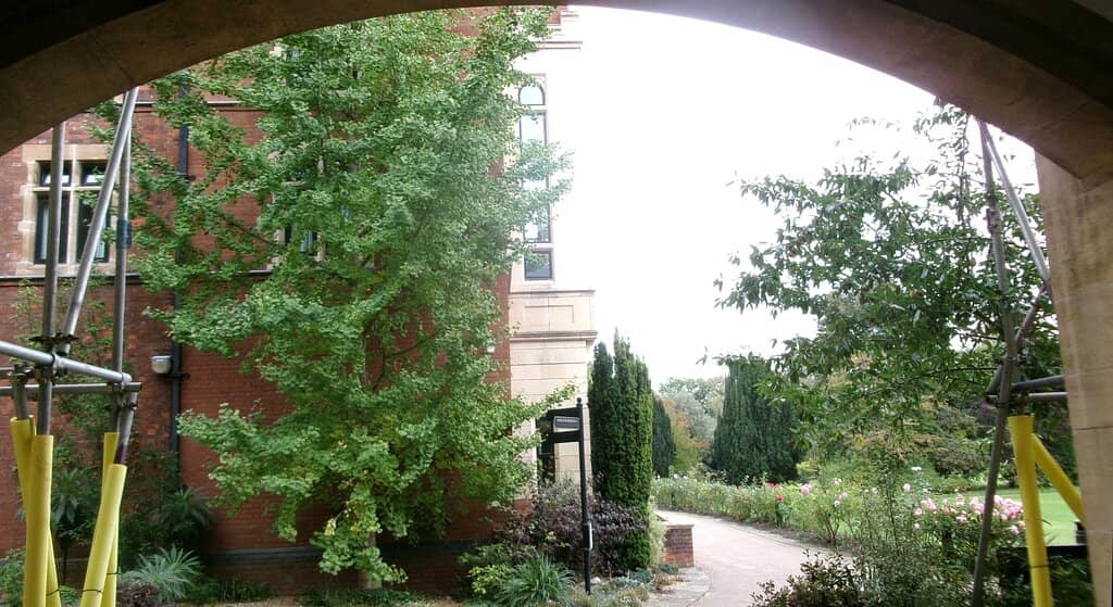 Vibrant College Cafe