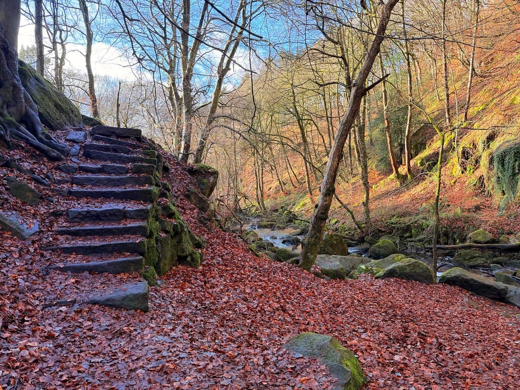Burbage Brook