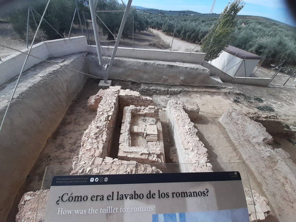 Archaeological Discoveries