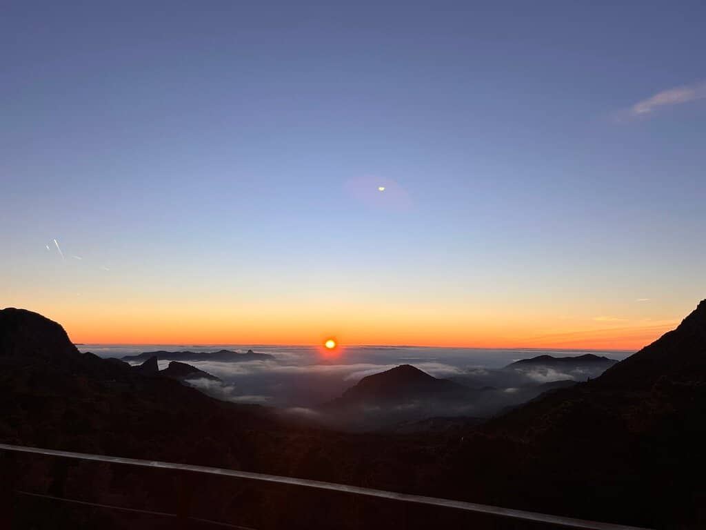 Drone Flying Paradise