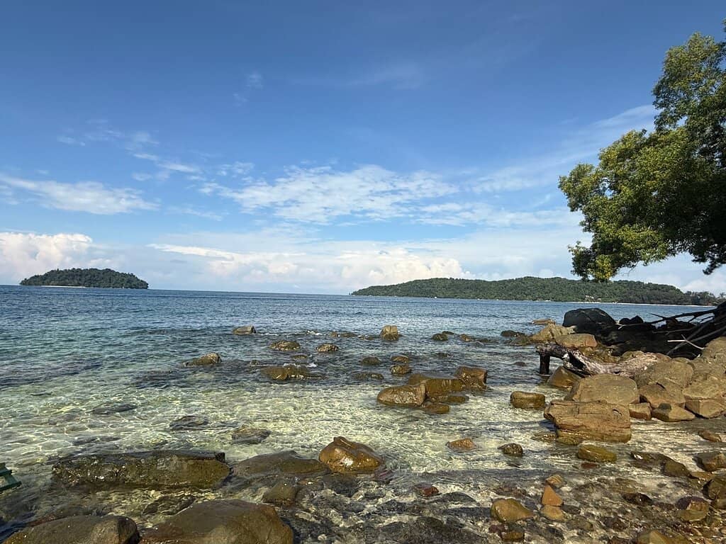 Monitor Lizard Encounters