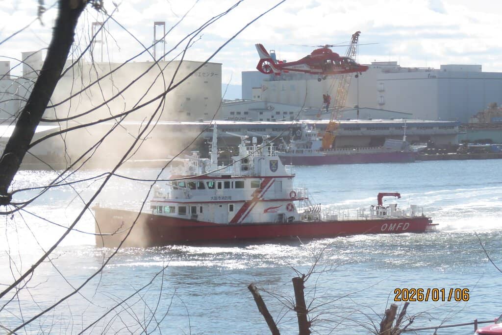 Dinosaur Exhibitions