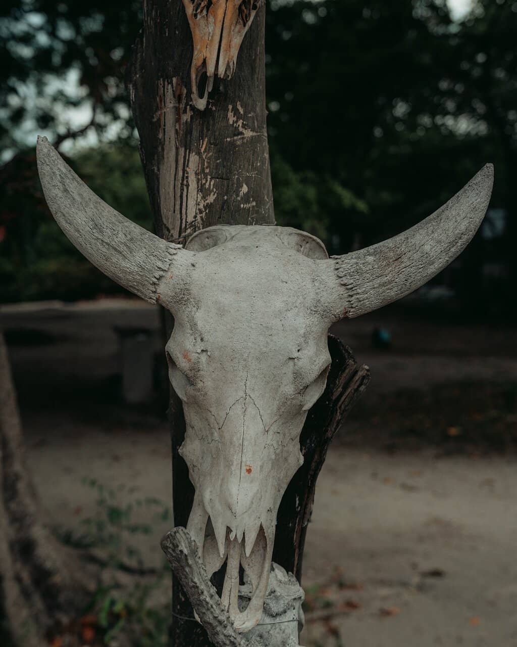 Mount Baluran Sunrise