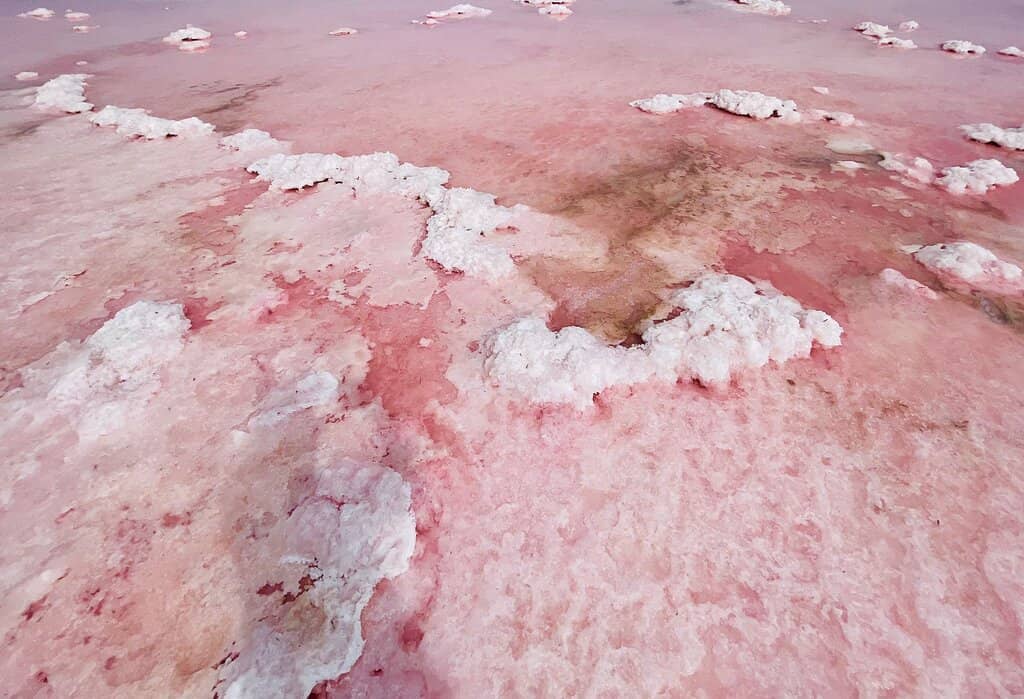 Pink Lake Lookout