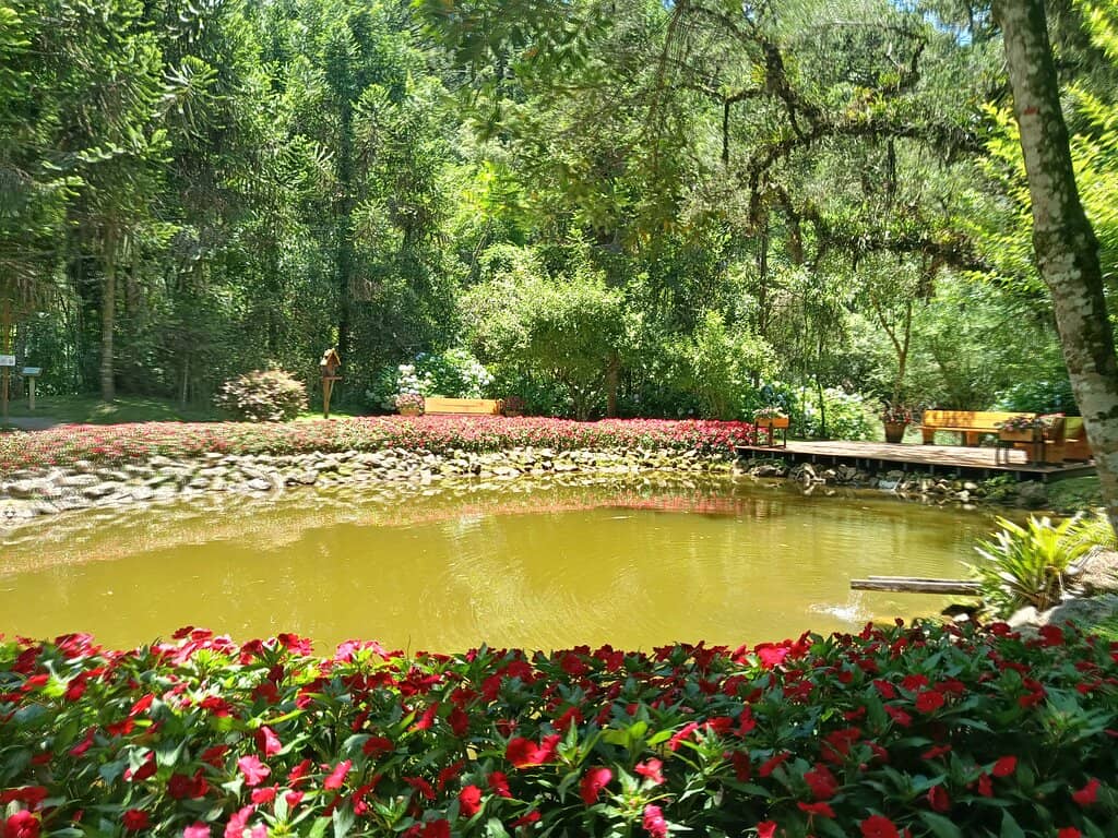 Mini Golf