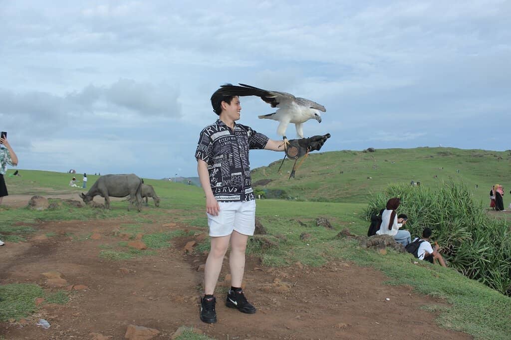 Cultural Performances