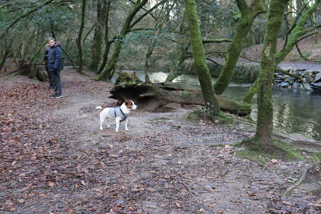 Cycle Trail