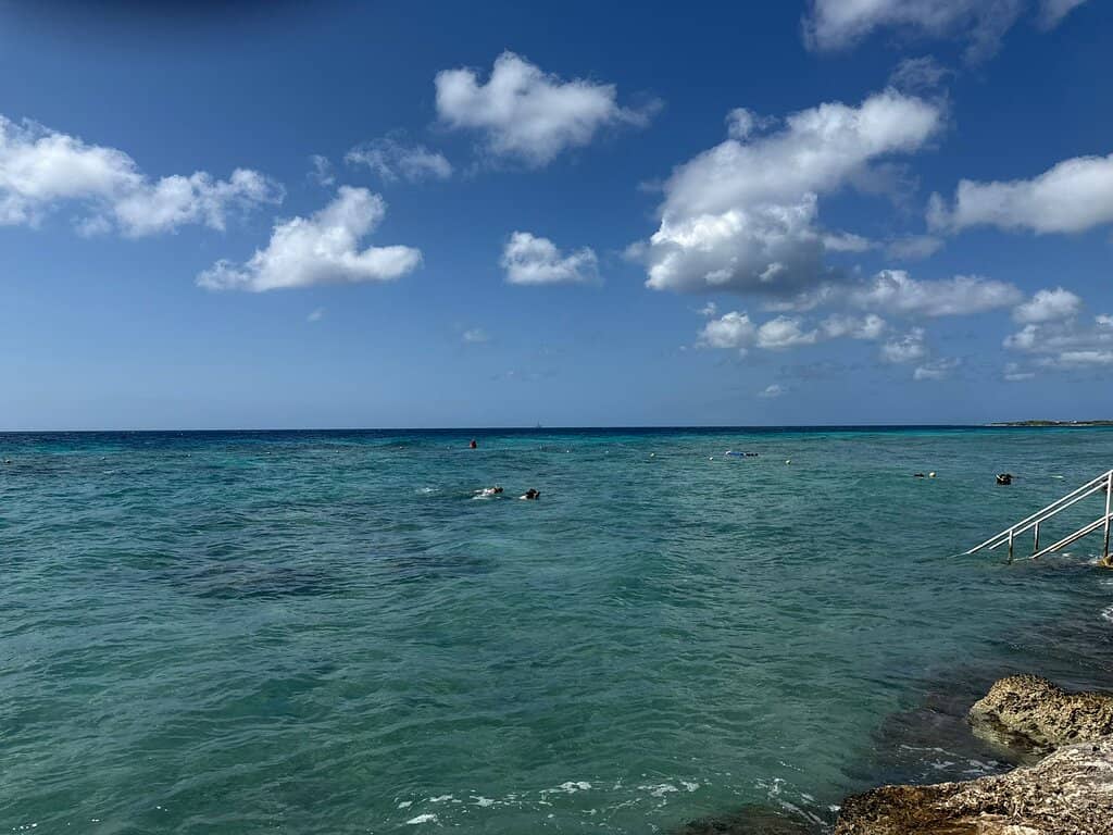 Sea Turtle Encounters