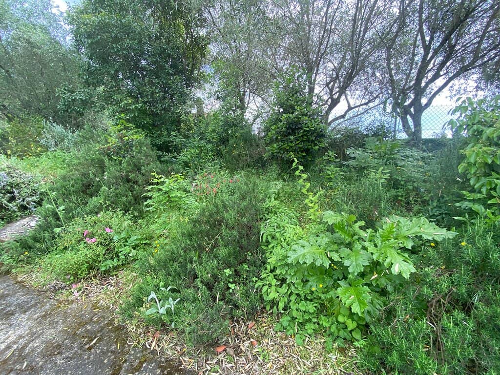 Herb and Flower Displays