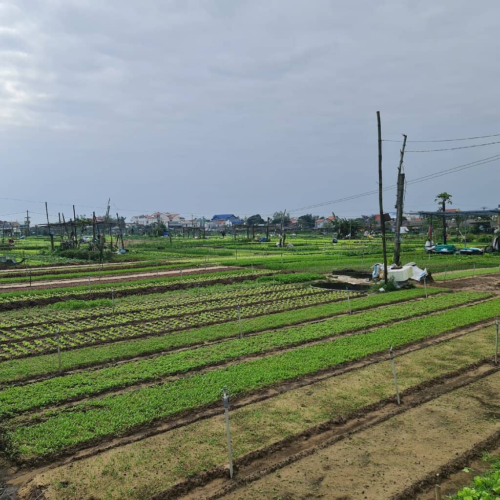 Organic Farming Immersion