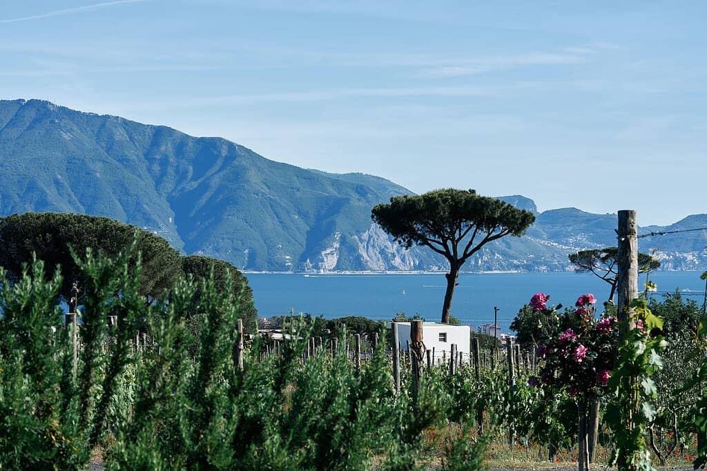 Rooftop Terrace Dining