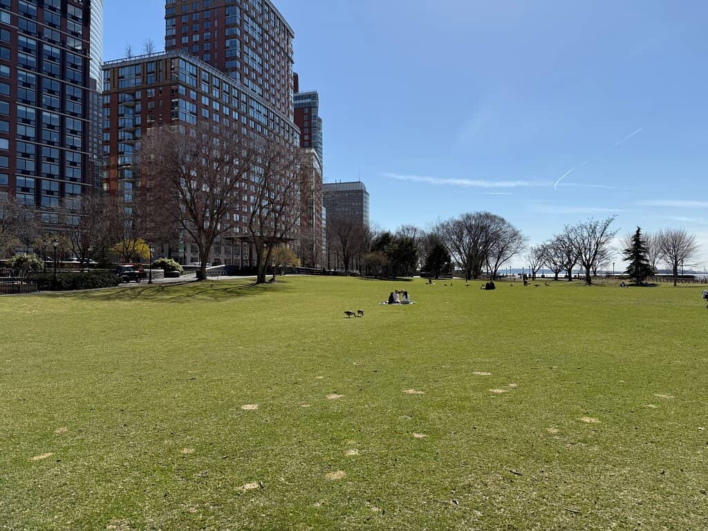 The Esplanade
