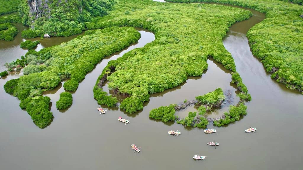 Street Food Delights